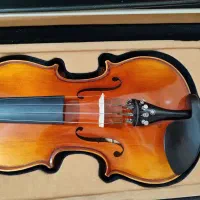 ویولن آماندا