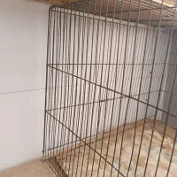 قفس پرنده