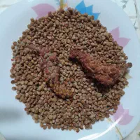 فروش سماق به صورت دانه  و خوشه