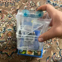 لوازم اکواریوم|ماهی|تهران, کیانشهر|دیوار