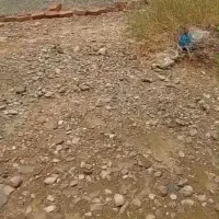 زمین فروشی|فروش زمین و ملک کلنگی|ایرانشهر, |دیوار