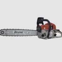 قطع و هرس انواع درختان باغی