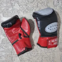 دسکش بوکس