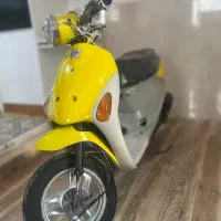 پاکشتی پالت ۵۰سی سی