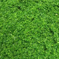 سبزی خورشتی|خوردنی و آشامیدنی|خمینیشهر, |دیوار