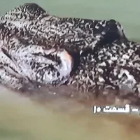ال سی دی ۴۲ اینچ سامسونگ