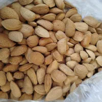 فروش بادام شاهرودی