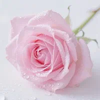 سرویس مدرسه