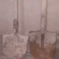 بیل فیل نشان