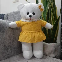 شاسخین با لباس|اسباببازی|لنگرود, |دیوار