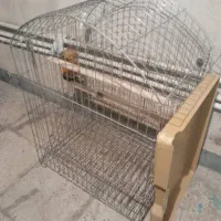 قفسه پرنده تمیز نوبزرگ