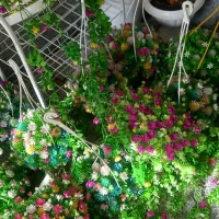 گل مصنوعی|گل مصنوعی|همدان, |دیوار