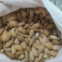 بادام درختی تازه|عمده‌فروشی|اهواز, کمپلو شمالی|دیوار