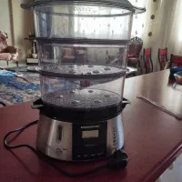 بخارپز گوسونیک