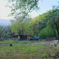 اجاره کلبه چوبی دنج در دل جنگل|اجارهٔ کوتاه‌مدت آپارتمان و سوئیت|ماسال, |دیوار