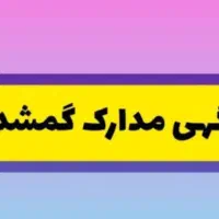 مدارک گمشده.(کارت‌ملی‌ و کارت سوخت گازوئیل)