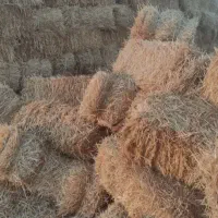 کاه گندم  پرس دامداری گاوداری سوله غذای دام