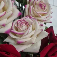 ۱۴ شاخه گل رز|گل مصنوعی|میانه, |دیوار