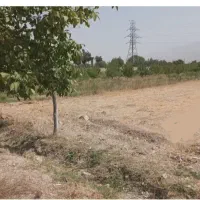 زمین زراعی ،باغی