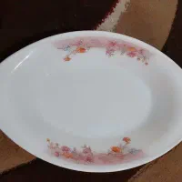 مرغ خوری|ظروف سرو و پذیرایی|زابل, |دیوار