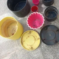 تلویزیون نیست گلدان ها سالم سالم ودرحدنو