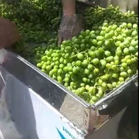 دستگاه آبغوره ساز دستگاه گوجه گیری آبلیمو آب غوره|کافی‌شاپ و رستوران|شیراز, قصرالدشت|دیوار