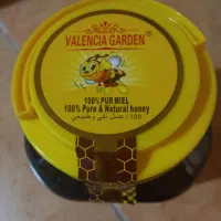 عسل وارداتی ولنسیا گاردن