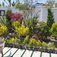 آبنما ابنما ابشار محوطه سازی فضای سبز