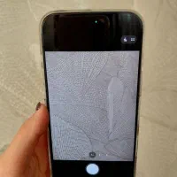 16پرومکس سیلور ریجسترشده