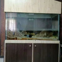 آکواریوم