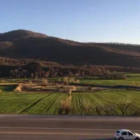 سوییت-و-خانه-مسافر-تنگراه