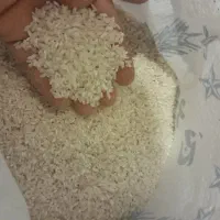 برنج وخرده برنج چمپه