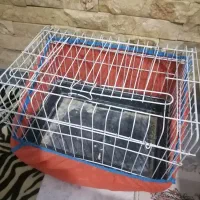 قفس همستر|موش و خرگوش|قزوین, |دیوار