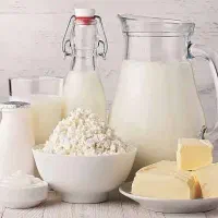 شیر و پنیر بزسانن