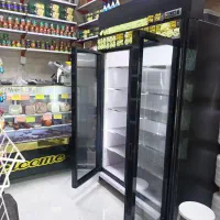 فریزر دودرب صنعتی