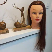 کله مانکن|آرایشی، بهداشتی، درمانی|تهران, شکوفه|دیوار