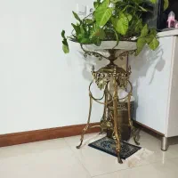 جا میوه کنار سالنی برنزی