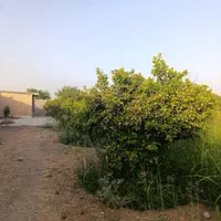 فروش باغچه/برق آب تصفیه/رو ب رو ترمینال|فروش دفتر صنعتی، کشاورزی، تجاری|دزفول, |دیوار