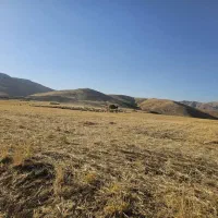 زمین کشاورزی برای اجاره