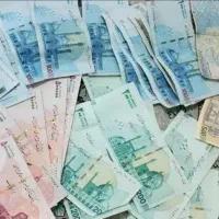 کاربا گوشی  در خانه برای تمام سنین بالا+18