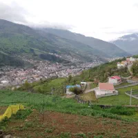 فروش زمین|فروش زمین و ملک کلنگی|پل سفید, |دیوار