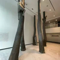 تاپ ظفر ۱۸۶ متر کلید نخورده طبقات بالا