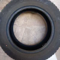 لاستیک استوک