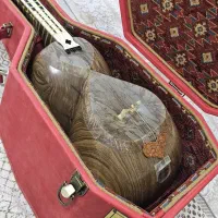 تار خجسته کلکسیونی