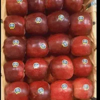 چند خانم جوان برای سورت سیب نیازمندیم