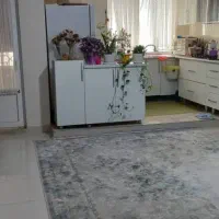 فروش آپارتمان ۴۹ متری ۱ خوابه در بریانک