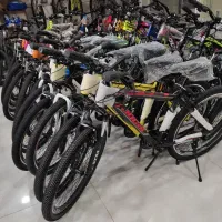 فیتالی وارداتی۲۶