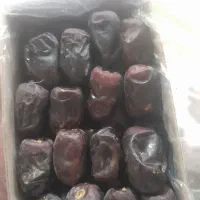 فروش رطب مضافتی بم