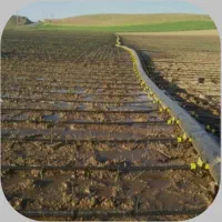 نوار تیپ.طیف .قطره ای .