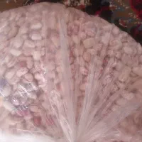 لوبیا چیتی و نخود قرمز